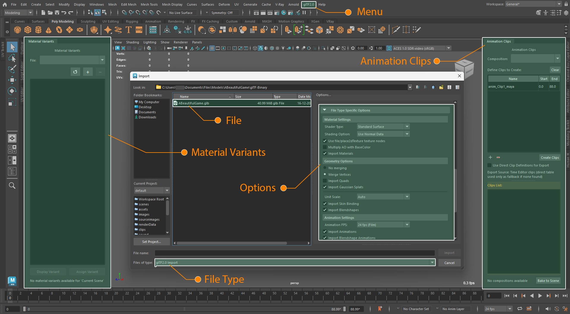 glTF importer entry point in Maya